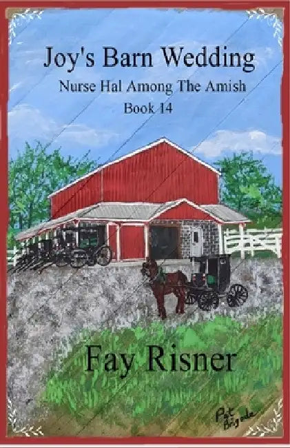 Joy's Barn Wedding: Nurse Hal Among The Amish by Fay Risner