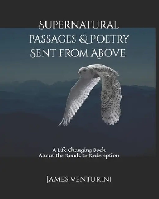 Supernatural Passages & Poetry, Sent from Above: A Life Changing Book About the Roads to Redemption by M. E. Venturini, L. A. Venturini, James Venturini