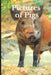 Pictures of Pigs: Funny White Elephant, Secret Dirty Santa Gift, (Stupid Gifts Ideas) by Pete Stack