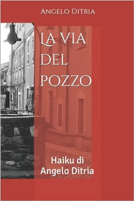 La via del pozzo: Haiku di Angelo Ditria by Astore, Barbara