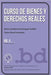 Curso de Bienes y Derechos Reales Vol. II: temas 11-22 by Pérez Fernández, Carlos