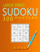 Large Print Evil Sudoku Puzzles: 300 Puzzles with Solution Book for Adults, Seniors & Elderly by Ricardo Weisman