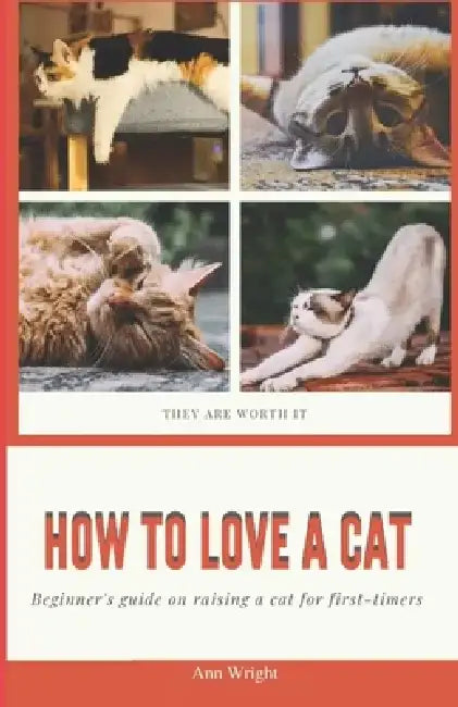 How to Love a Cat: Beginner's Guide on Raising a Cat for First Timers by Ann Wright