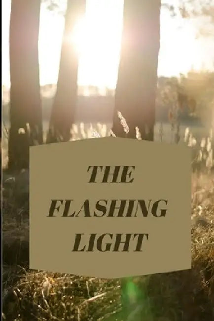 The Flashing Light by Abdullah Babar
