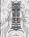 Metamorphosis: A Meditative Adult Coloring Book by Lisabeth Blanche
