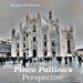 The Pinco Pallino's perspective: Life and Travels of an Average Joe by Alexjan Carraturo
