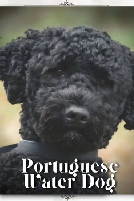Portuguese Water Dog: Dog breed overview and guide by Nina Pustova