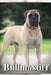 Bullmastiff: Dog breed overview and guide by Nina Pustova