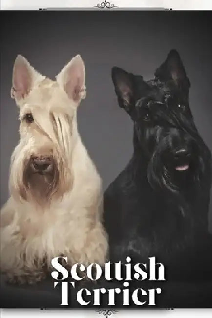 Scottish Terrier: Dog breed overview and guide by Nina Pustova