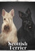 Scottish Terrier: Dog breed overview and guide by Nina Pustova