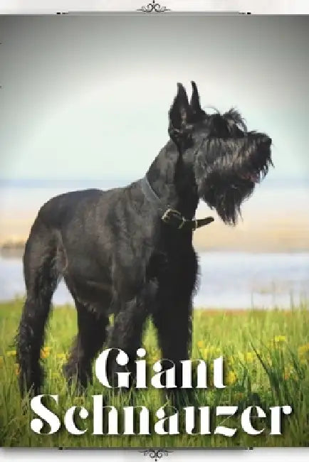 Giant Schnauzer: Dog breed overview and guide by Nina Pustova