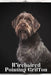 Wirehaired Pointing Griffon: Dog breed overview and guide by Nina Pustova