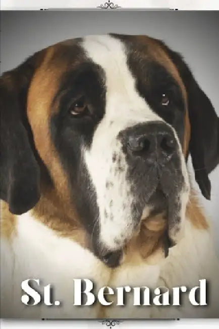 St. Bernard: Dog breed overview and guide by Nina Pustova