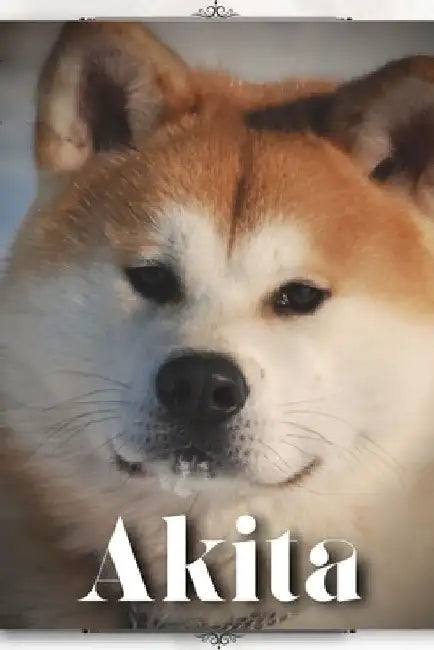 Akita: Dog breed overview and guide by Nina Pustova