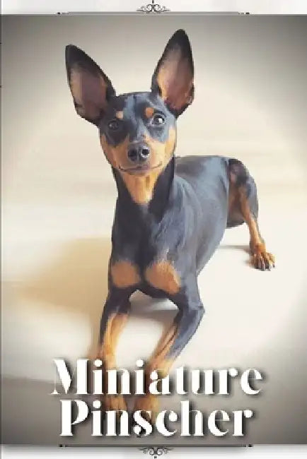 Miniature Pinscher: Dog breed overview and guide by Nina Pustova