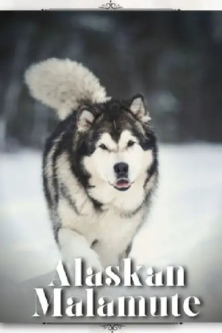 Alaskan Malamute: Dog breed overview and guide by Nina Pustova