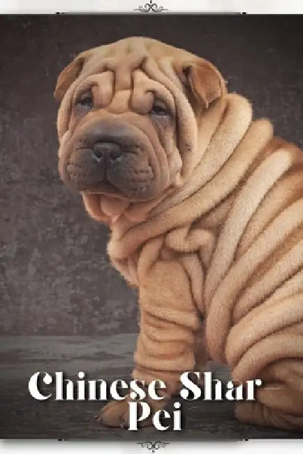 Chinese Shar-Pei: Dog breed overview and guide by Nina Pustova