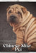 Chinese Shar-Pei: Dog breed overview and guide by Nina Pustova