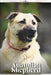 Anatolian Shepherd: Dog breed overview and guide by Nina Pustova