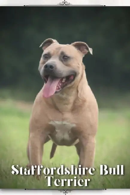 Staffordshire Bull Terrier: Dog breed overview and guide by Nina Pustova