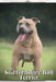 Staffordshire Bull Terrier: Dog breed overview and guide by Nina Pustova