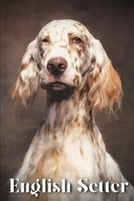 English Setter: Dog breed overview and guide by Nina Pustova