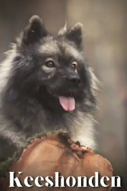 Keeshonden: Dog breed overview and guide by Nina Pustova
