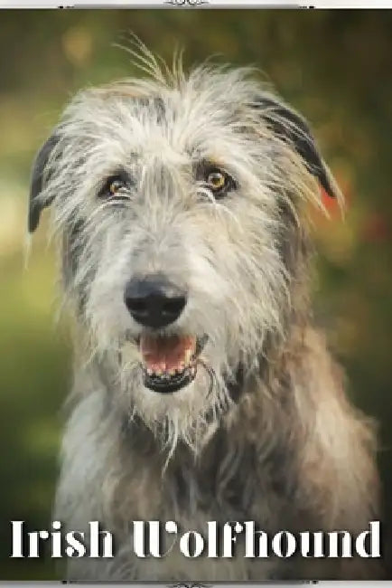 Irish Wolfhound: Dog breed overview and guide by Nina Pustova