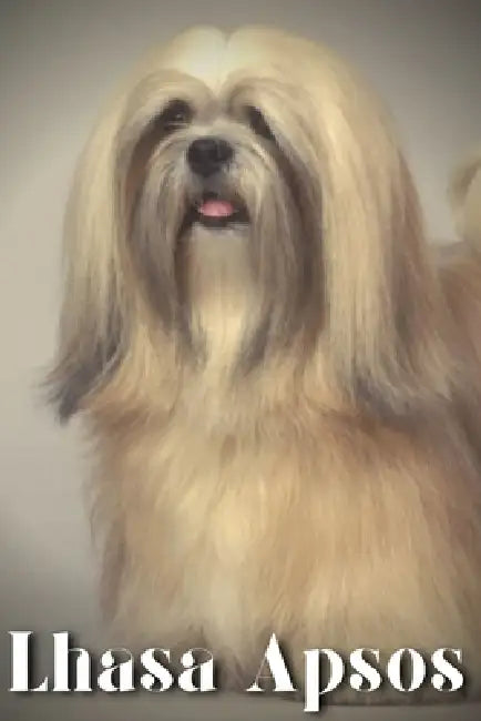 Lhasa Apsos: Dog breed overview and guide by Nina Pustova