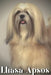 Lhasa Apsos: Dog breed overview and guide by Nina Pustova