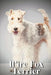 Wire Fox Terrier: Dog breed overview and guide by Nina Pustova
