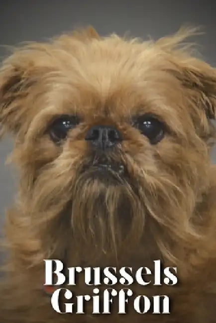 Brussels Griffon: Dog breed overview and guide by Nina Pustova