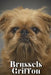 Brussels Griffon: Dog breed overview and guide by Nina Pustova