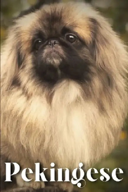 Pekingese: Dog breed overview and guide by Nina Pustova
