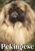 Pekingese: Dog breed overview and guide by Nina Pustova
