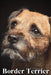 Border Terrier: Dog breed overview and guide by Nina Pustova