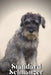 Standard Schnauzer: Dog breed overview and guide by Nina Pustova