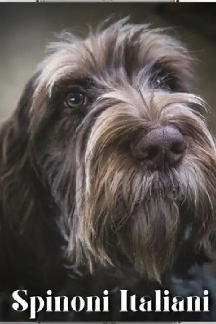 Spinoni Italiani: Dog breed overview and guide by Nina Pustova