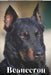 Beauceron: Dog breed overview and guide by Nina Pustova