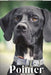 Pointer: Dog breed overview and guide by Nina Pustova