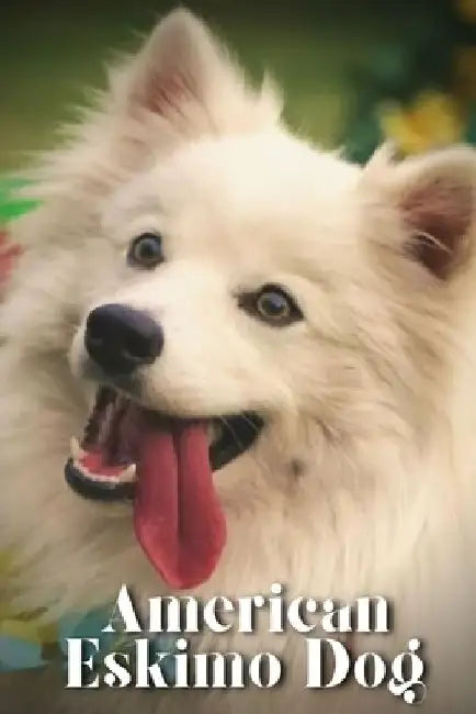 American Eskimo Dog: Dog breed overview and guide by Nina Pustova