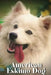 American Eskimo Dog: Dog breed overview and guide by Nina Pustova