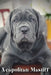Neapolitan Mastiff: Dog breed overview and guide by Nina Pustova