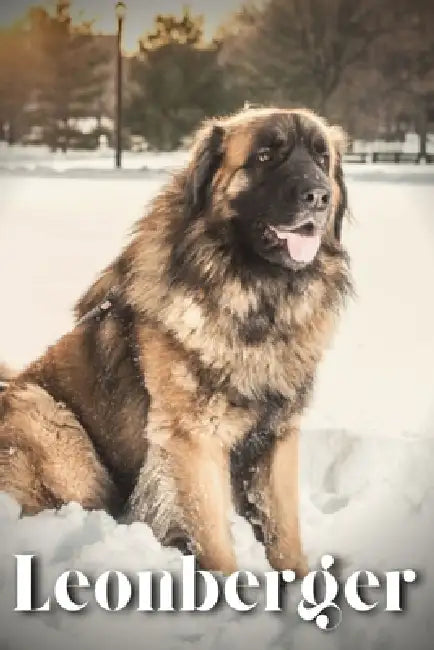 Leonberger: Dog breed overview and guide by Nina Pustova