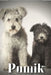 Pumik: Dog breed overview and guide by Nina Pustova