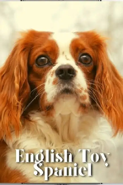 English Toy Spaniel: Dog breed overview and guide by Nina Pustova