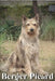 Berger Picard: Dog breed overview and guide by Nina Pustova