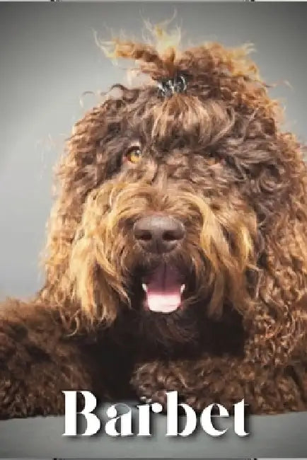 Barbet: Dog breed overview and guide by Nina Pustova
