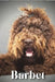 Barbet: Dog breed overview and guide by Nina Pustova
