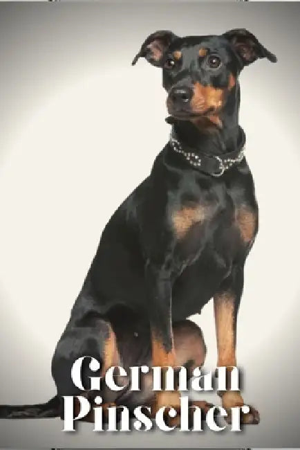 German Pinscher: Dog breed overview and guide by Nina Pustova